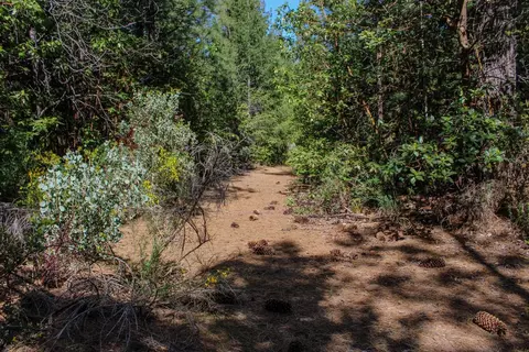 5734 Wilder Rd, Georgetown, CA 95634 photo 3