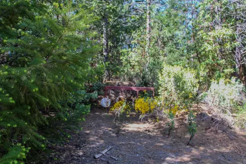 5734 Wilder Rd, Georgetown, CA 95634 photo 6