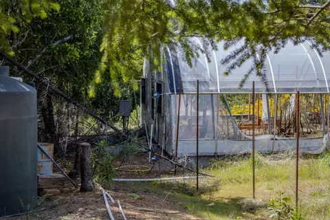 5734 Wilder Rd, Georgetown, CA 95634 photo 54