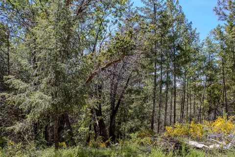 5734 Wilder Rd, Georgetown, CA 95634 photo 92