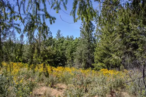 5734 Wilder Rd, Georgetown, CA 95634 photo 26