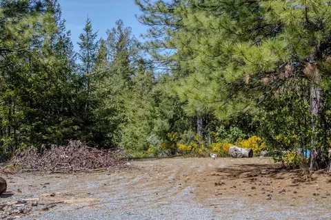 5734 Wilder Rd, Georgetown, CA 95634 photo 13