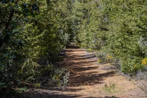 5734 Wilder Rd, Georgetown, CA 95634 photo 10