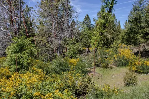 5734 Wilder Rd, Georgetown, CA 95634 photo 44