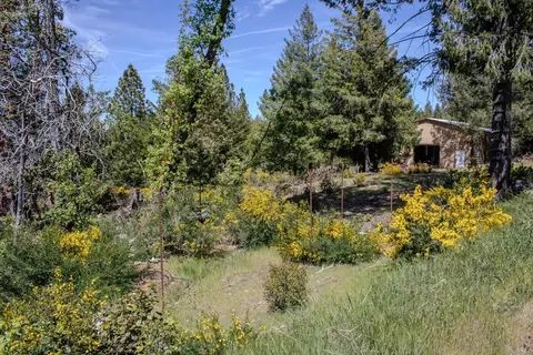 5734 Wilder Rd, Georgetown, CA 95634 photo 36