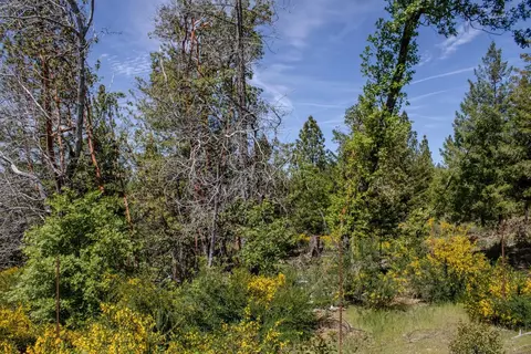5734 Wilder Rd, Georgetown, CA 95634 photo 40