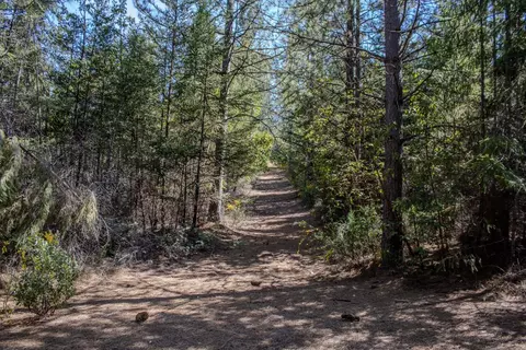 5734 Wilder Rd, Georgetown, CA 95634 photo 4