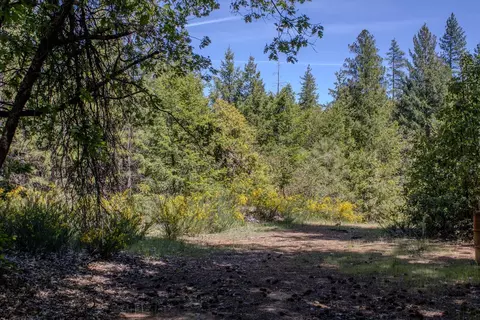 5734 Wilder Rd, Georgetown, CA 95634 photo 91