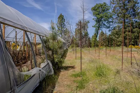 5734 Wilder Rd, Georgetown, CA 95634 photo 51
