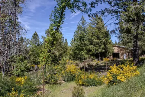 5734 Wilder Rd, Georgetown, CA 95634 photo 38
