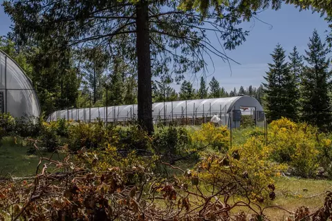 5734 Wilder Rd, Georgetown, CA 95634 photo 32
