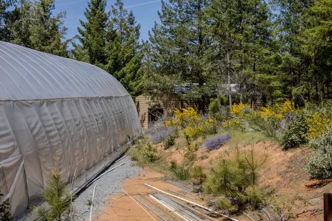 5734 Wilder Rd, Georgetown, CA 95634 photo 59