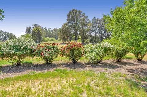 Exterior - 34718 Corcoran Hill Ln, Davis, CA 95616 photo 19 of 24