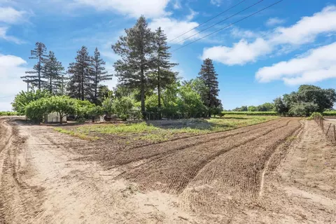 Exterior - 18989 N Ray Rd, Lodi, CA 95242 photo 32 of 39