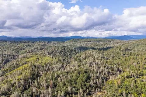 0 Donkey Mine Rd, Oak Run, CA 96069 photo 16