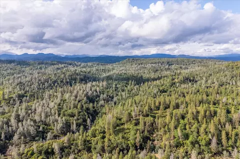 0 Donkey Mine Rd, Oak Run, CA 96069 photo 15