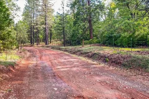 0 Donkey Mine Rd, Oak Run, CA 96069 photo 5