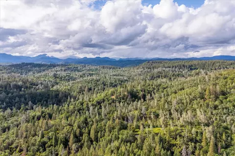 0 Donkey Mine Rd, Oak Run, CA 96069 photo 6