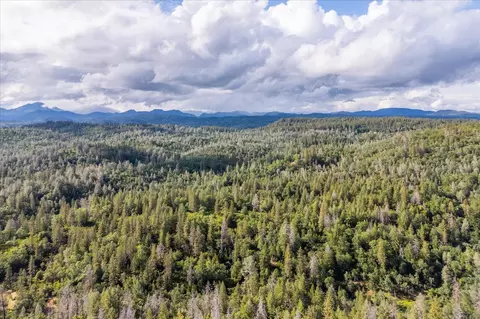 0 Donkey Mine Rd, Oak Run, CA 96069 photo 14