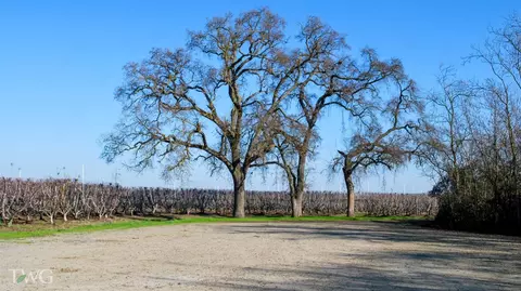 11850 E Live Oak Rd, Lodi, CA 95240 photo 6