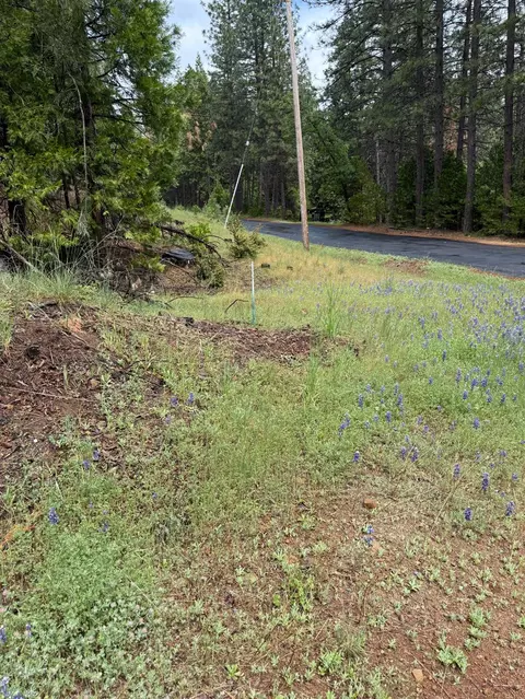 20081 Pine Dr W, Volcano, CA 95689 photo 5