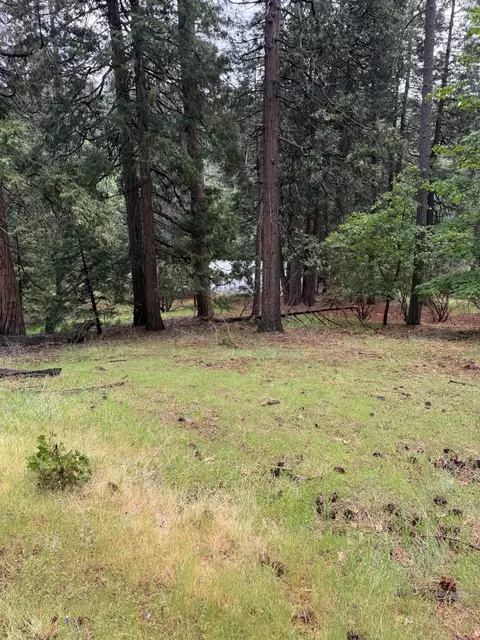20081 Pine Dr W, Volcano, CA 95689 photo 16