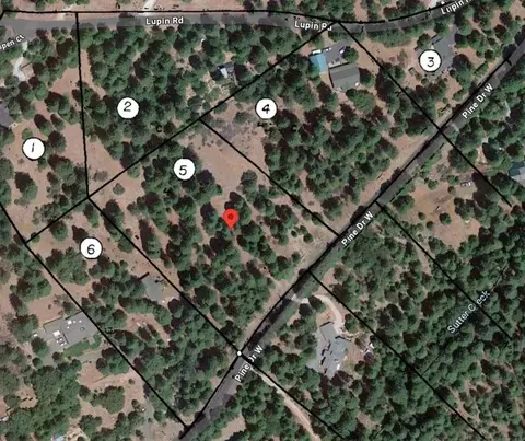 20081 Pine Dr W, Volcano, CA 95689 photo 19