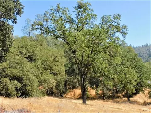 112 Union Mine Rd, El Dorado, CA 95623