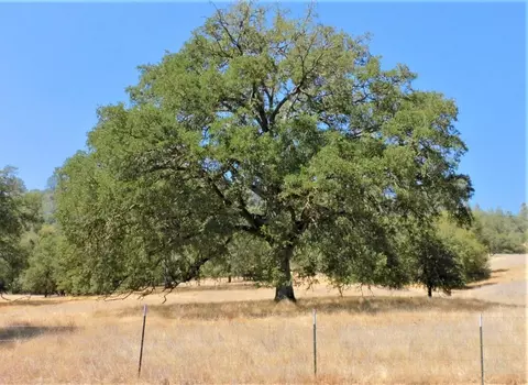 112 Union Mine Rd, El Dorado, CA 95623