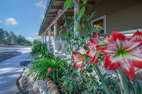 Other - 6060 Stony Creek Rd, Jackson, CA 95642 photo 3 of 12