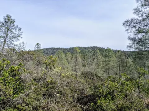 2080 Daffodil, Georgetown, CA 95634 photo 1