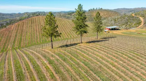 7005 Mountain Ranch Rd, Mountain Ranch, CA 95246 photo 72