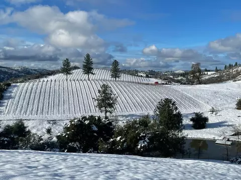 7005 Mountain Ranch Rd, Mountain Ranch, CA 95246 photo 83