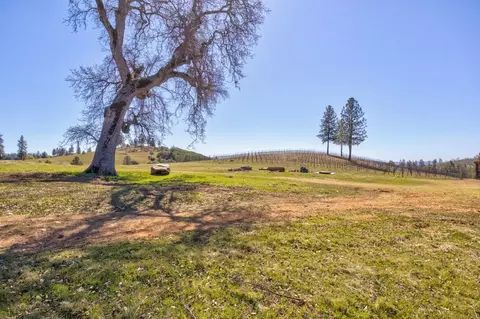 7005 Mountain Ranch Rd, Mountain Ranch, CA 95246 photo 38