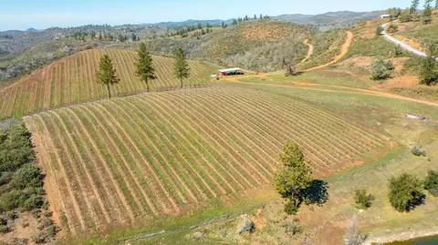 7005 Mountain Ranch Rd, Mountain Ranch, CA 95246 photo 71