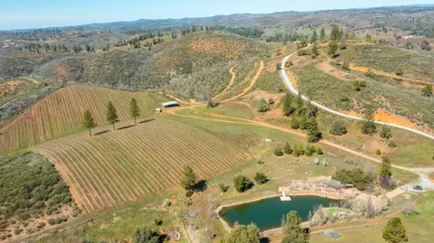 7005 Mountain Ranch Rd, Mountain Ranch, CA 95246 photo 70