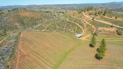 7005 Mountain Ranch Rd, Mountain Ranch, CA 95246 photo 74