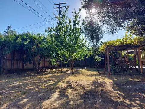 Exterior - 1026 Elm Ave, Modesto, CA 95351 photo 3 of 3