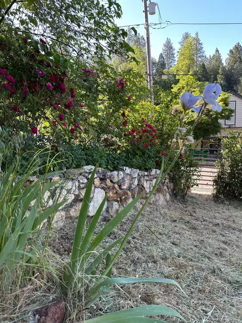 240 E Main St, Grass Valley, CA 95945 photo 26