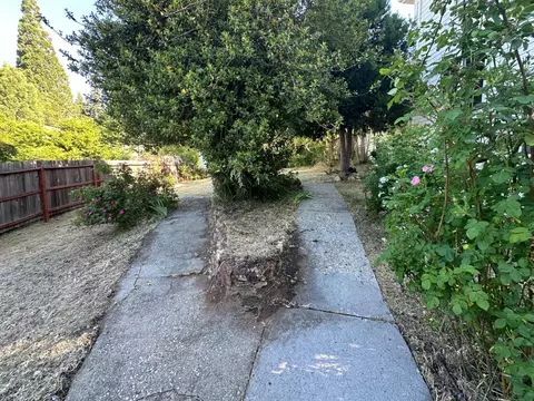 240 E Main St, Grass Valley, CA 95945 photo 12