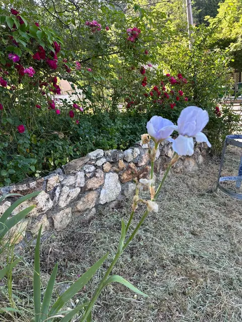 240 E Main St, Grass Valley, CA 95945 photo 25