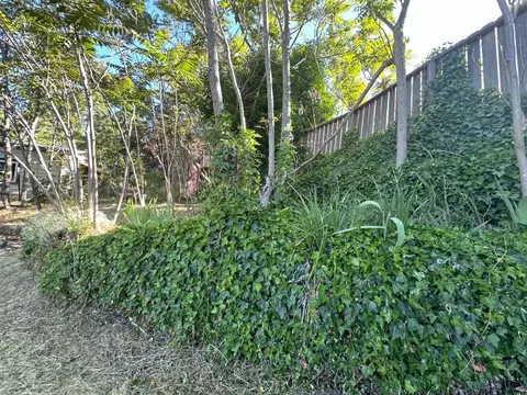 240 E Main St, Grass Valley, CA 95945 photo 17