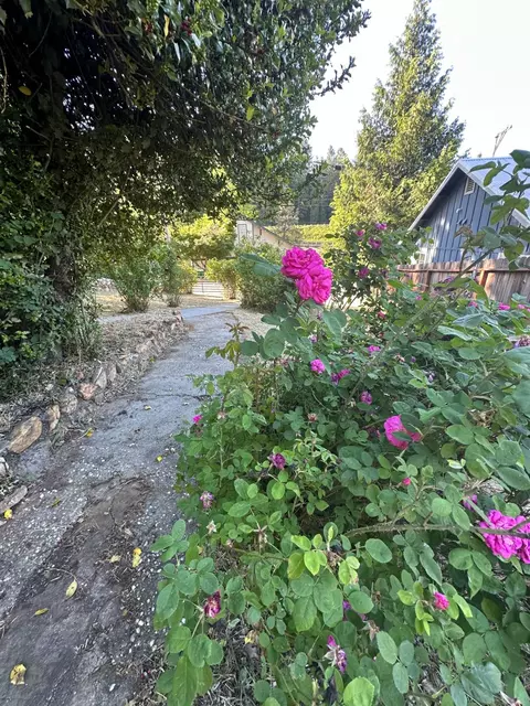 240 E Main St, Grass Valley, CA 95945 photo 15
