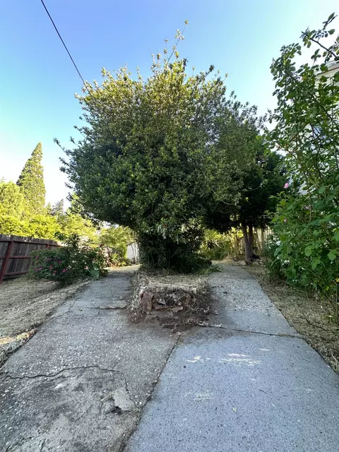 240 E Main St, Grass Valley, CA 95945 photo 13