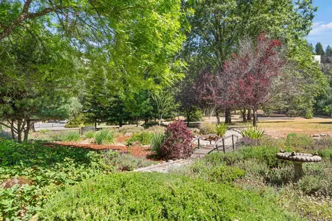 3561 Paydirt Dr, Placerville, CA 95667 photo 39