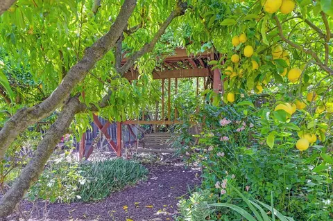 Exterior - 820 A St, Davis, CA 95616 photo 16 of 17
