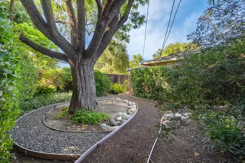 813 Sycamore Ln, Davis, CA 95616 photo 29