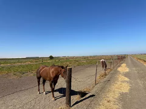 25333 S Lammers Rd, Tracy, CA 95377 photo 42