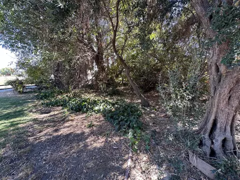 25333 S Lammers Rd, Tracy, CA 95377 photo 24