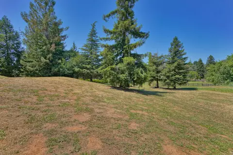 Exterior - 1502 Paymaster Ct, Cool, CA 95614 photo 19 of 32